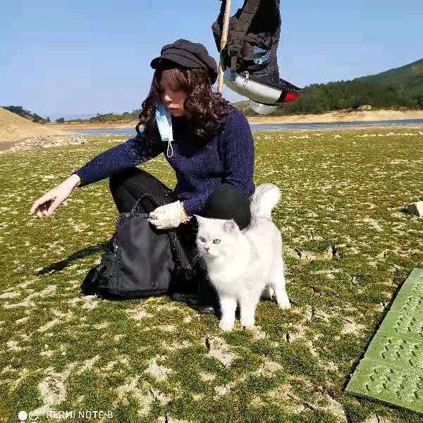 小陈分享  养生之道