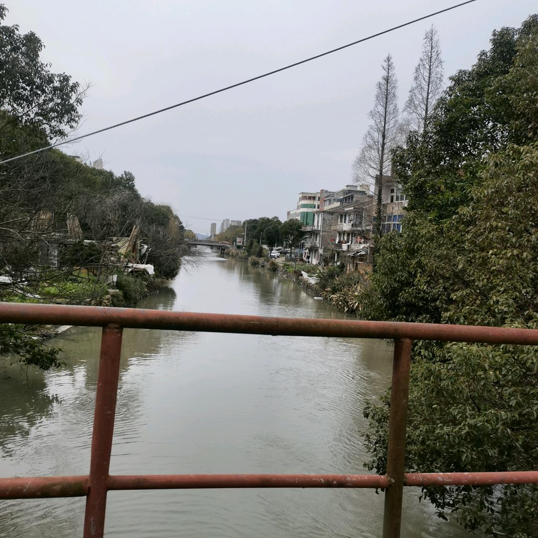阿琪