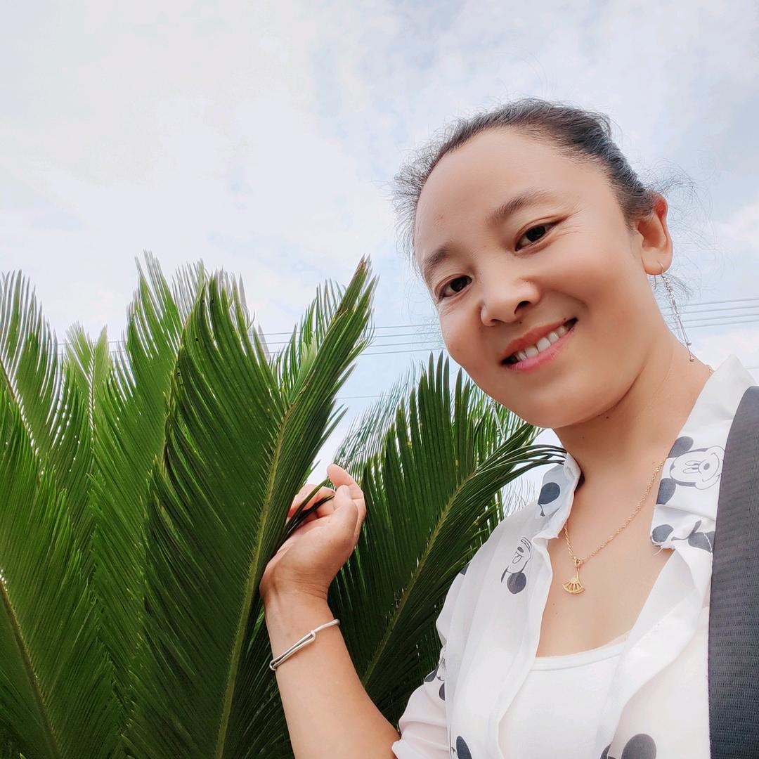 小凤