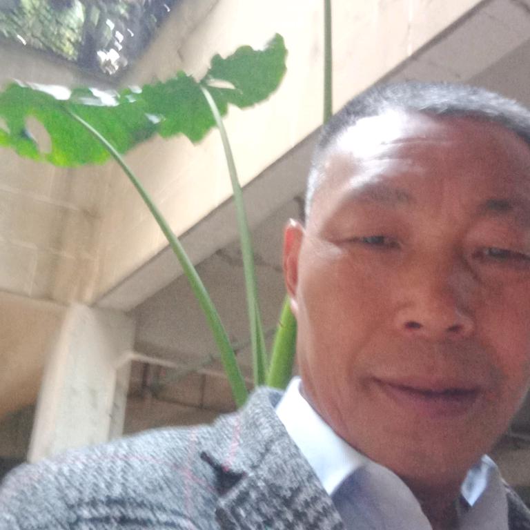张不一