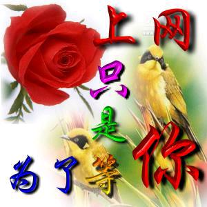苦中寻乐