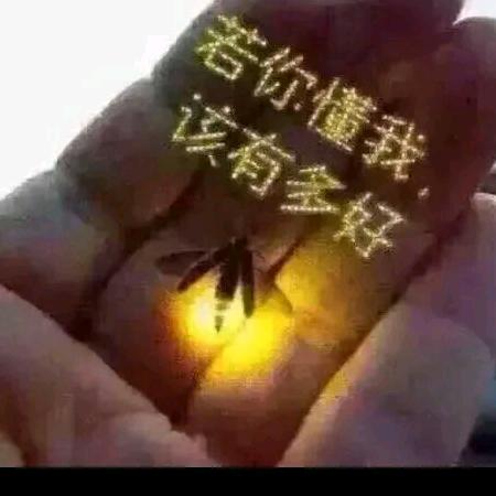 梦如风飞