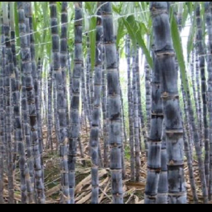 金鑫物流 越来越好