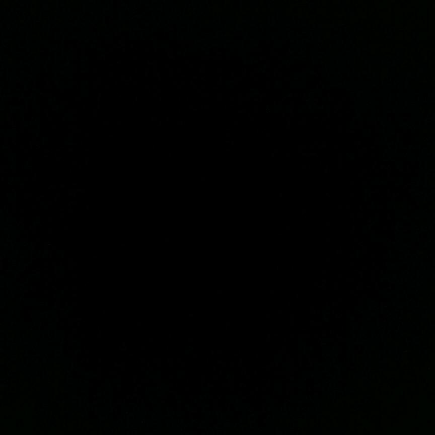 上海专收钓鱼塘回鱼🐟