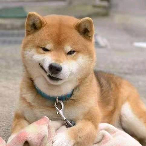 张蝈蝈