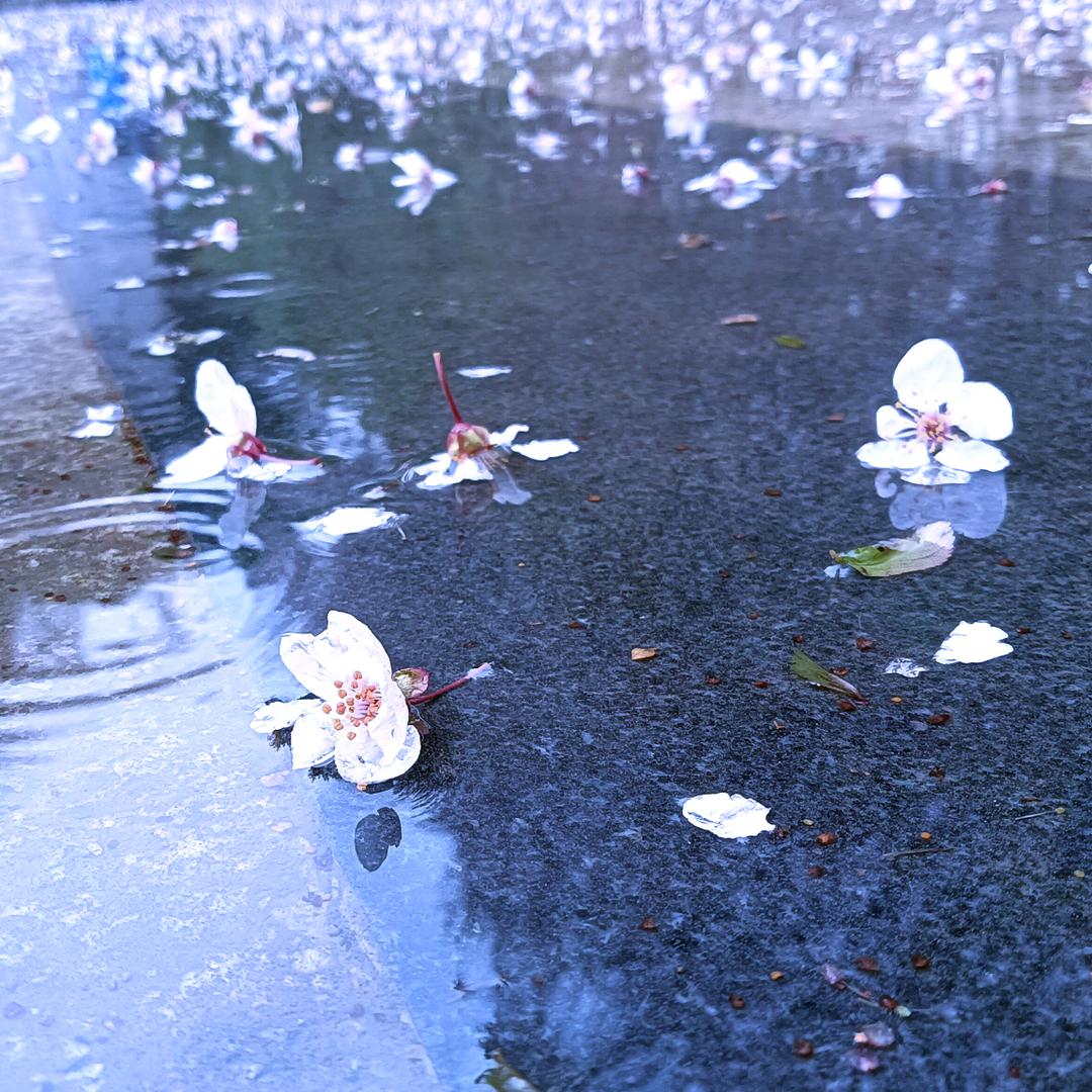 三三
