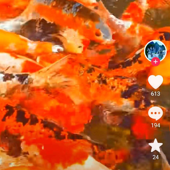 瑞菁瘦丽人（水高庄村致富路店）