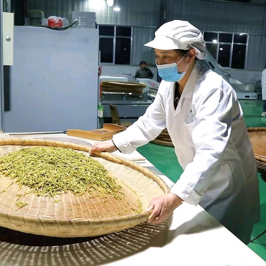李振华的茶生活