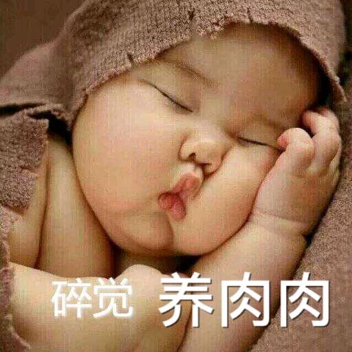 三国冰河时代～隐龙