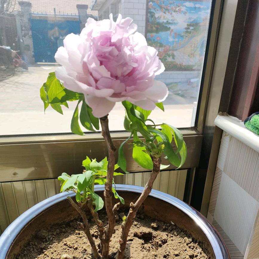 暖心