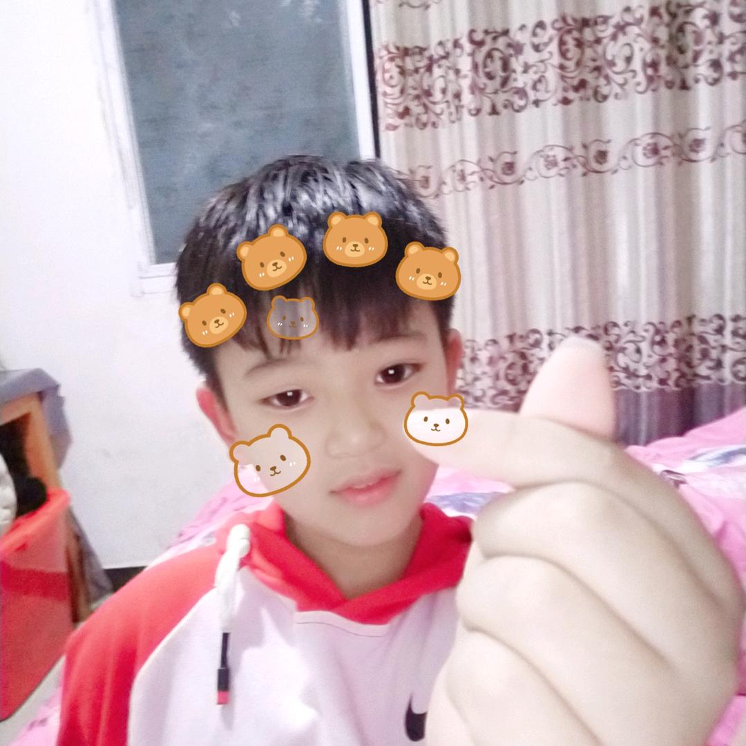 王家那个丫头