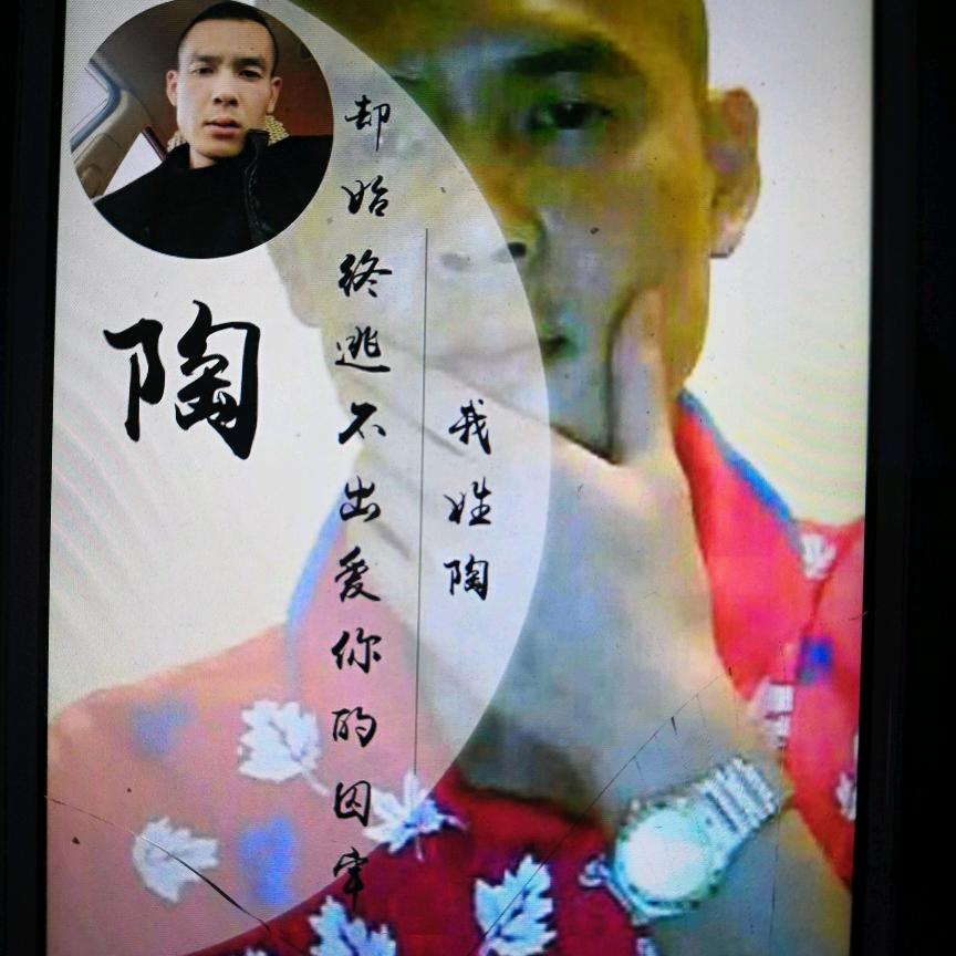 陶