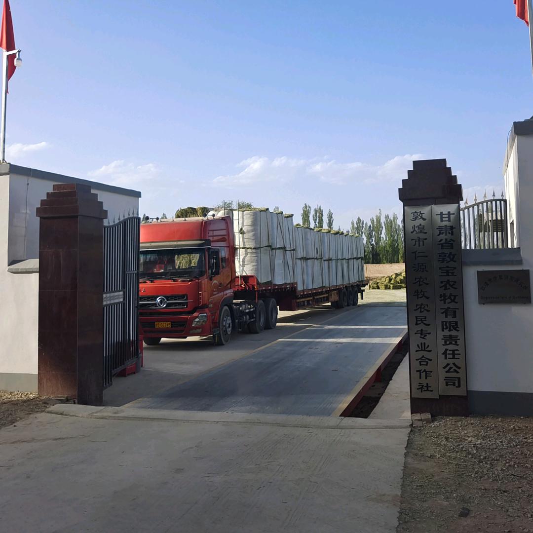 敦煌仁源农牧