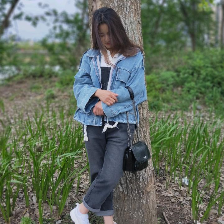 燕子