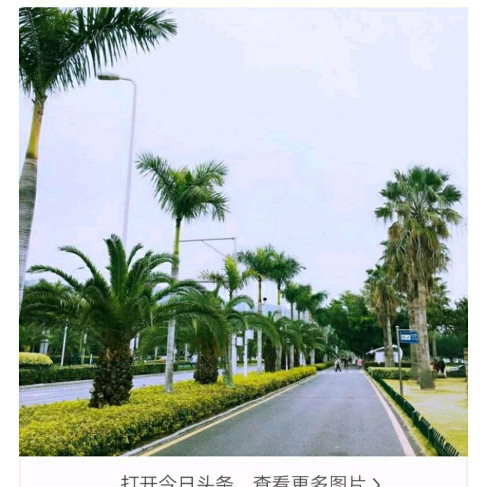 徐荣胜