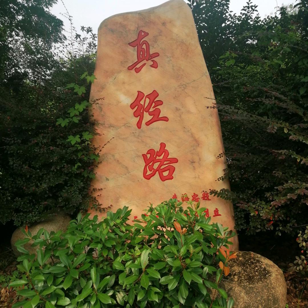 想念祢