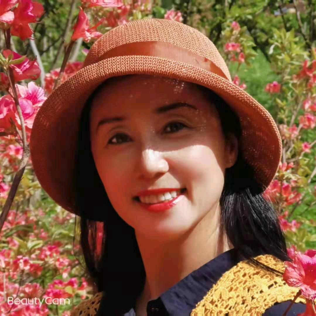 燕子
