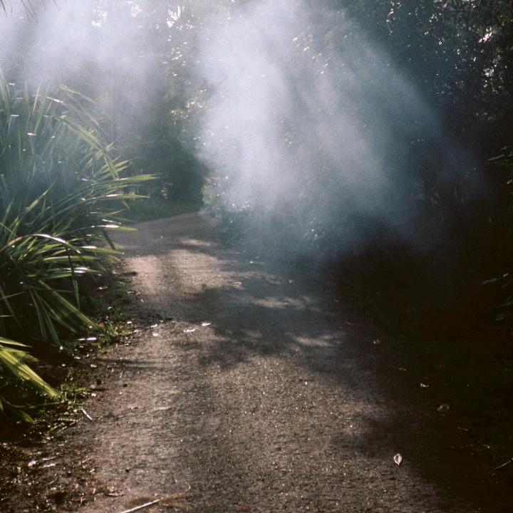 上善若水，李先生