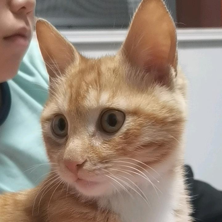 嘿⊙﹏⊙回不到以前了