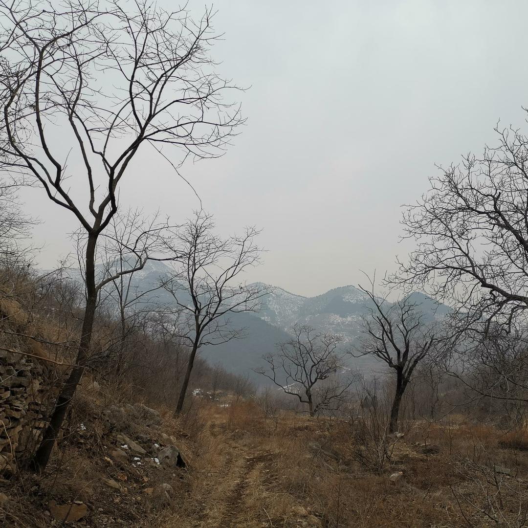 远山……
