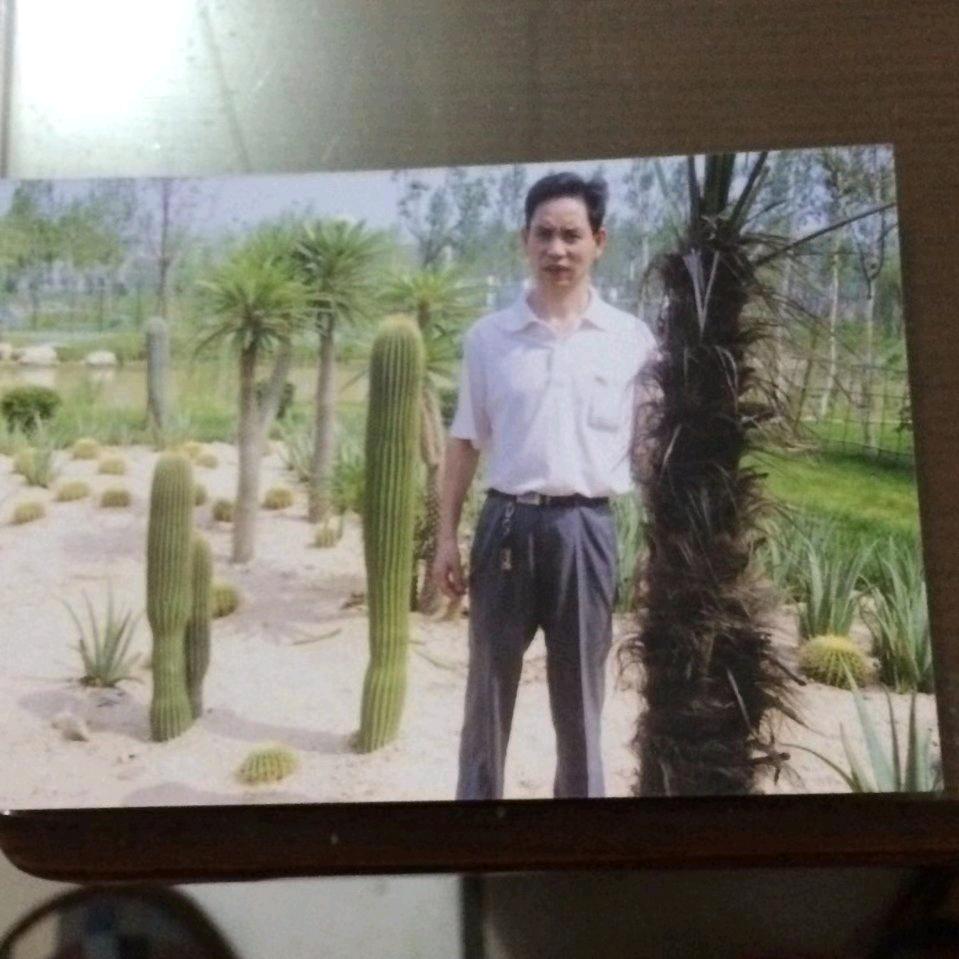张平安