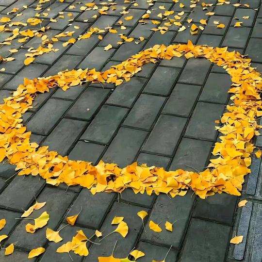 秋～～