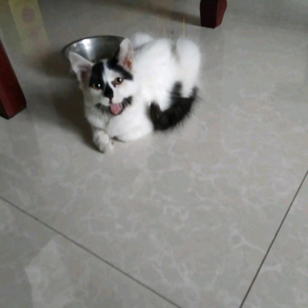 墨迹