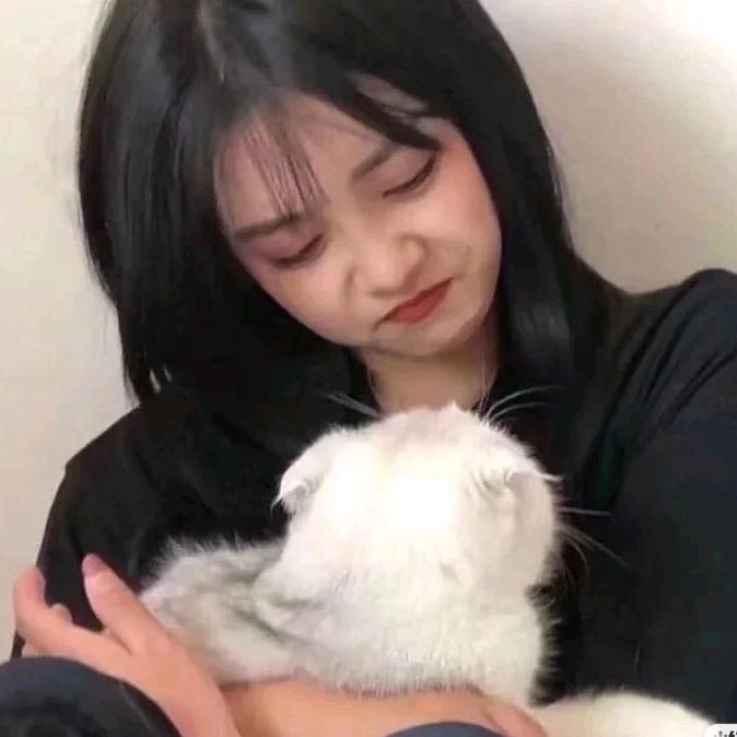 Cy