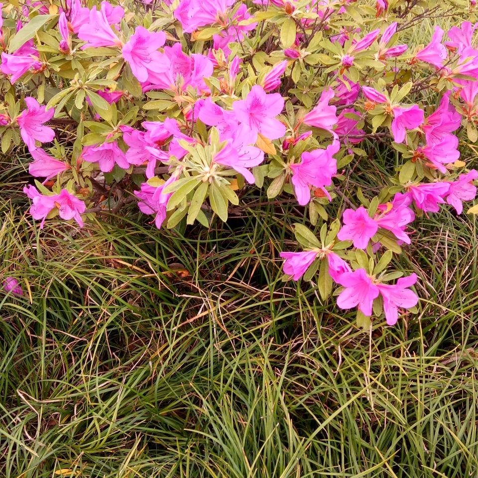 以前是过去🥂1909