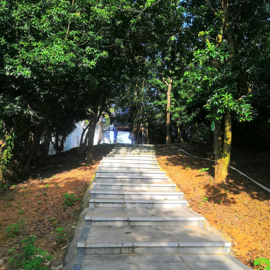 阳光道