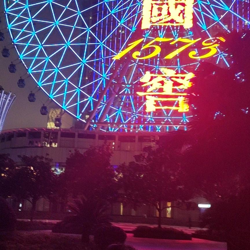 🌻繁花🌸罗叶🌻