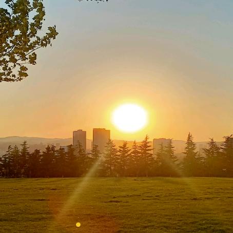 安静独处💯：LU