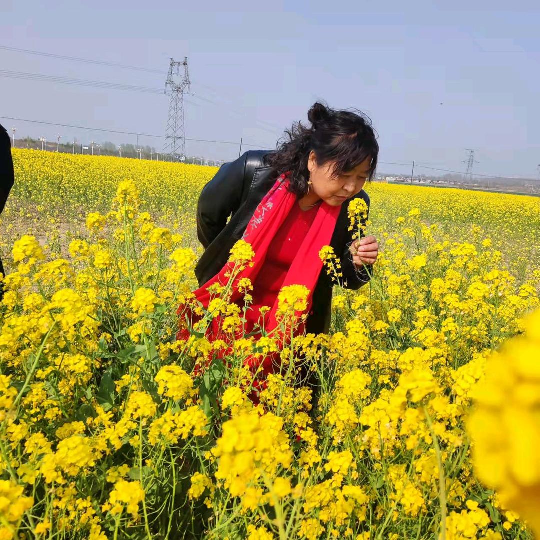 树芹的日常生活