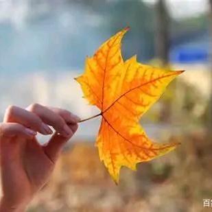 ～～一切随风～~🍁🍁