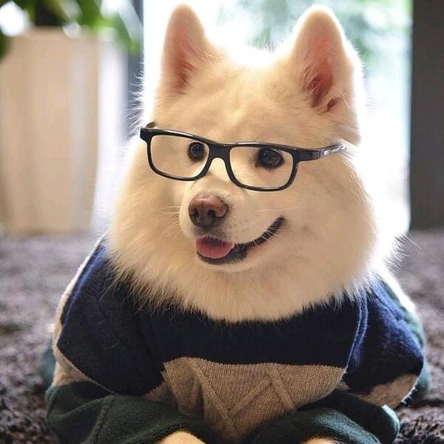 。。。。