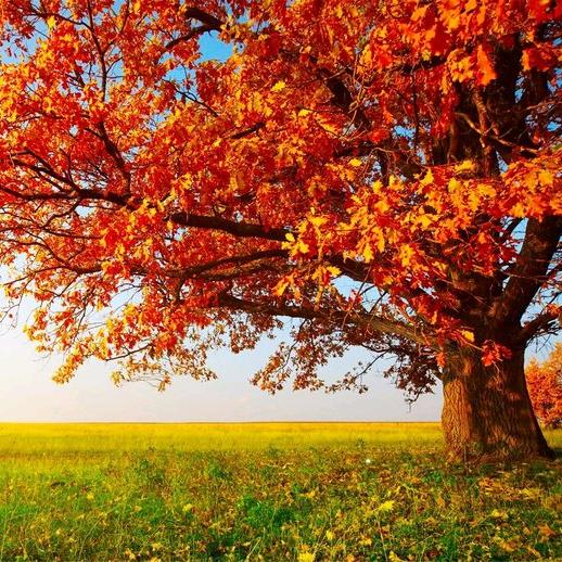 幸福一家👨‍👩‍👧