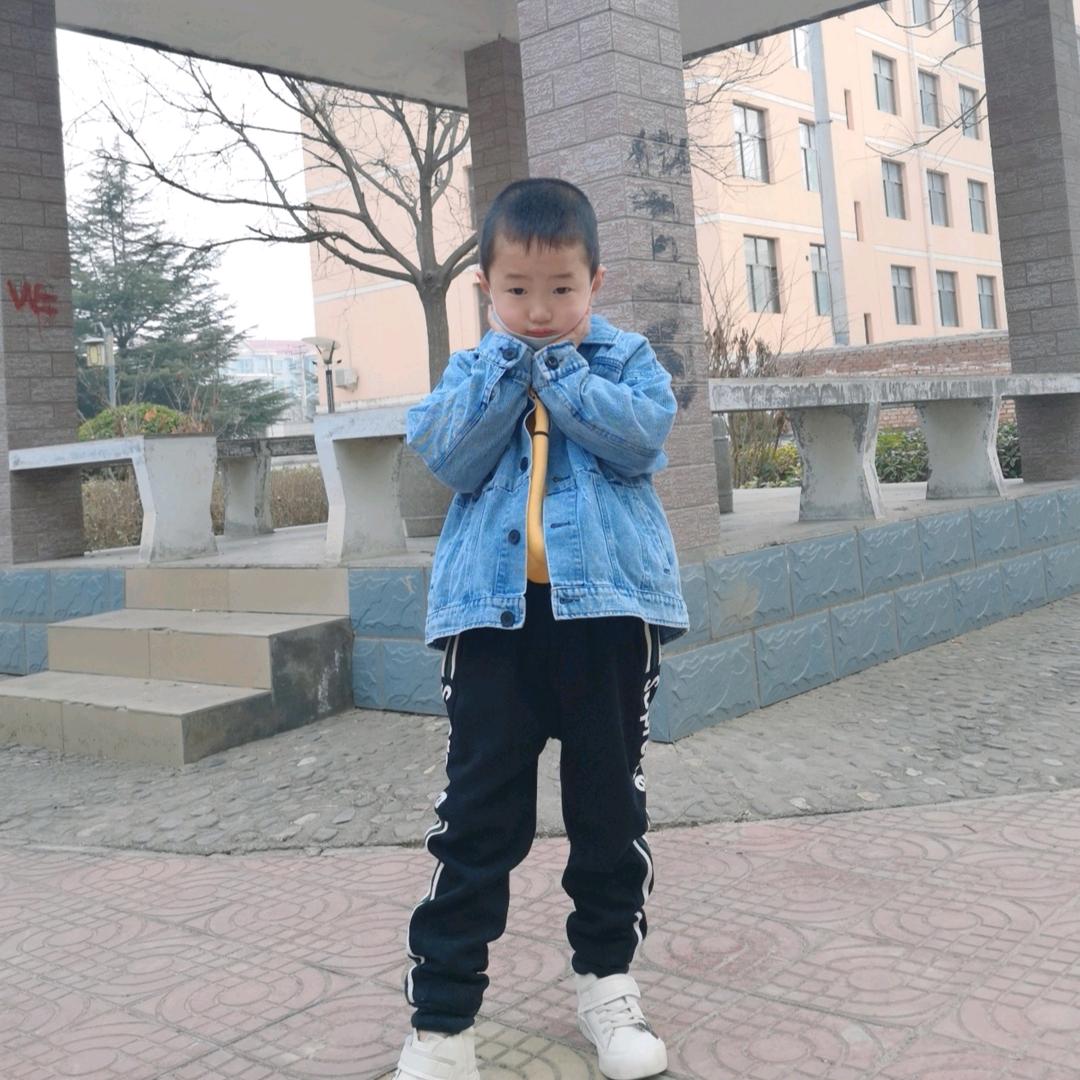 菩提下的一朵莲