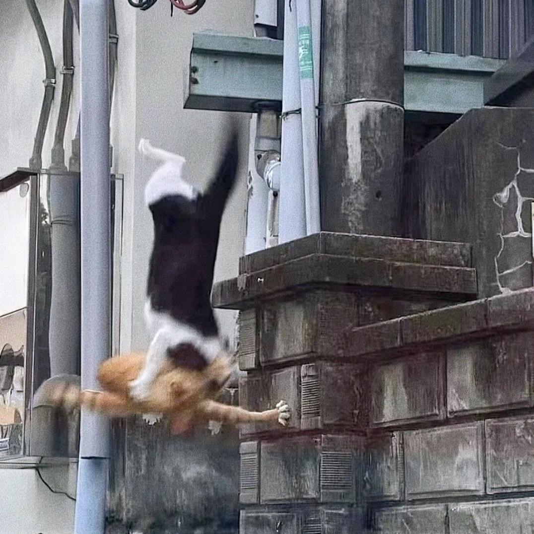 抽象派天赋型选手