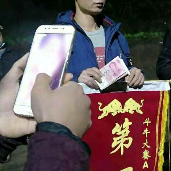 杨老五