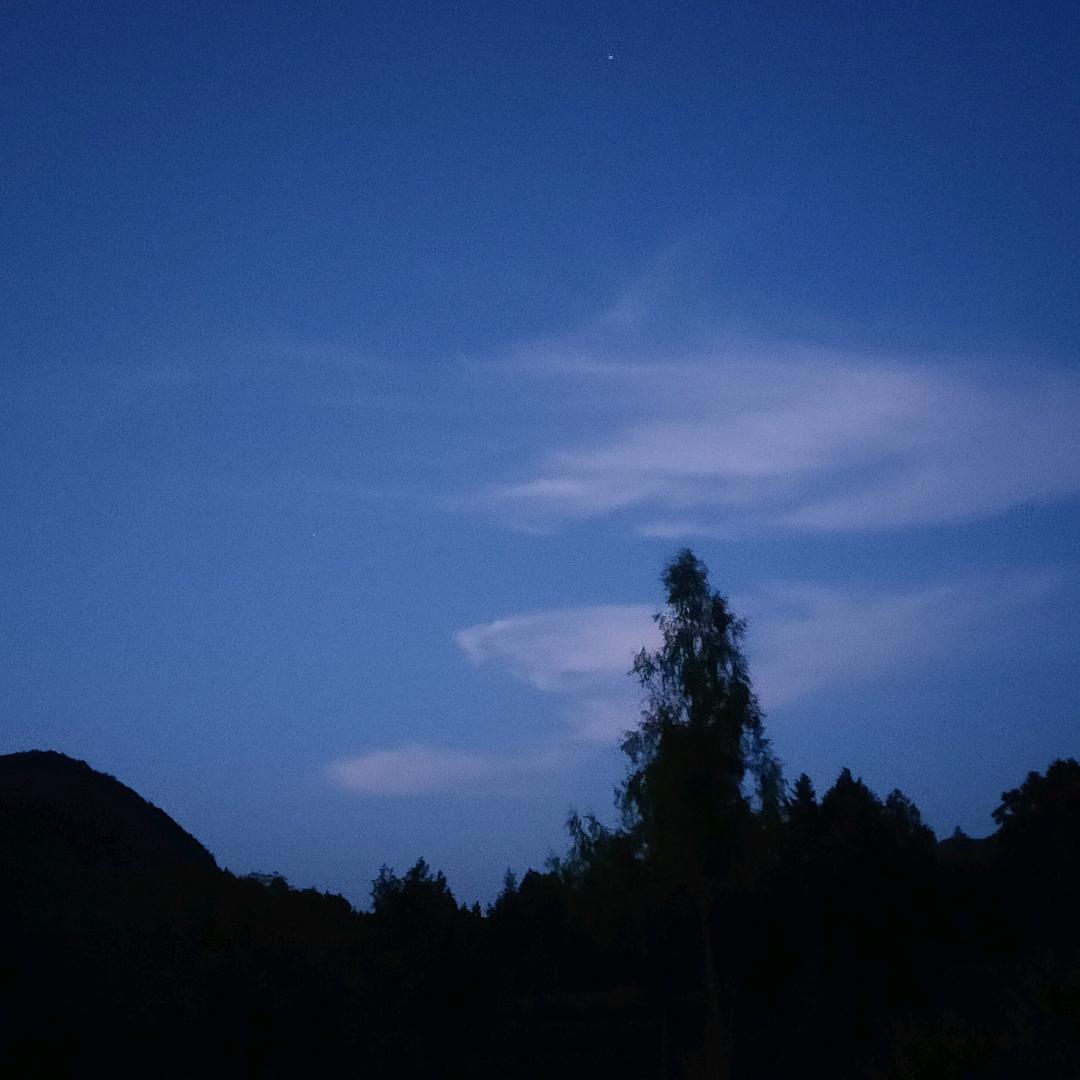 向前☞
