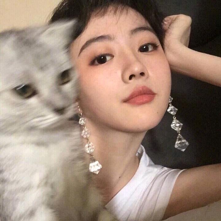 须尽歡
