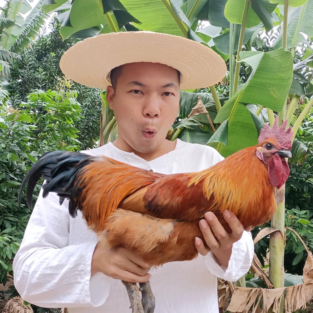 巴比村农家土鸡