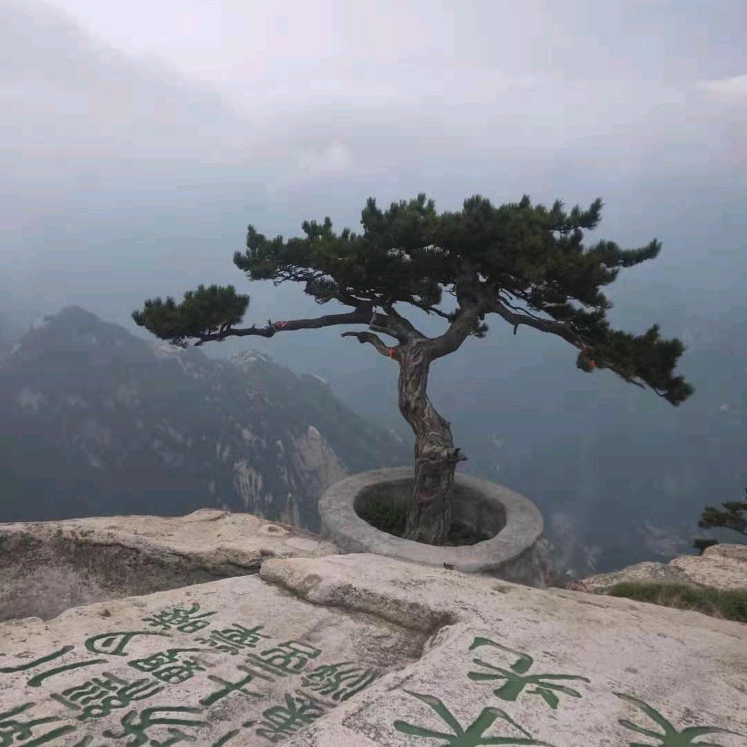 许多年后-动力火车