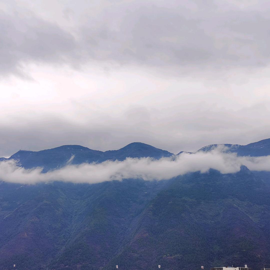 纯粹娱乐