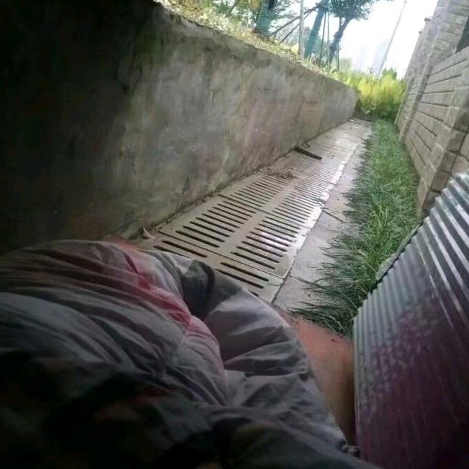 一只有毒的怪咖