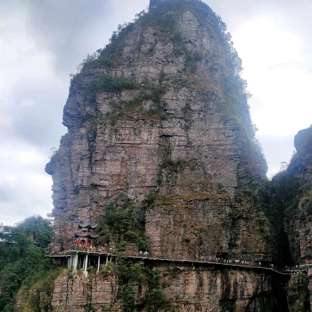 天良风潇潇1141468121471