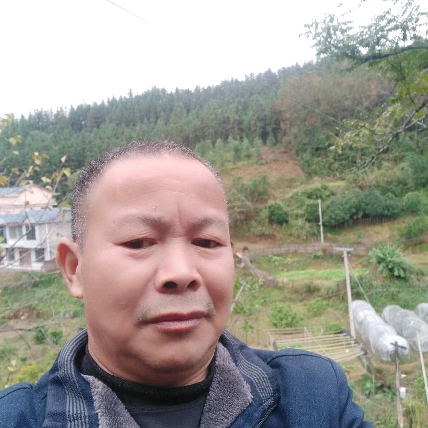 林三