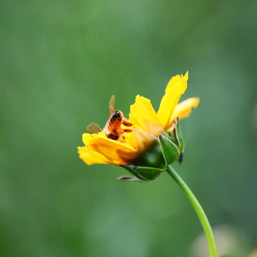 如重逢，亦如初见！