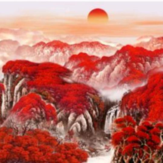 太阳花  伴我行