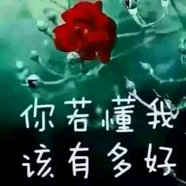 长相依依恋
